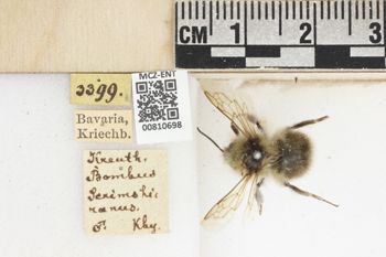 Media type: image;   Entomology 810698 Aspect: labels